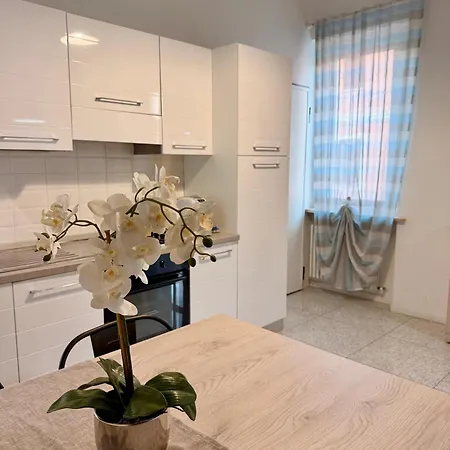 Re Domus Apartment