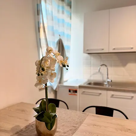Re Domus Apartment Verona
